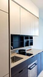 Haus On Handy (D9), Condominium #553366351